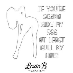 Car Window Vinyl Decal Fun adult humor Sticker Car Window Laptop Decals 5 inch